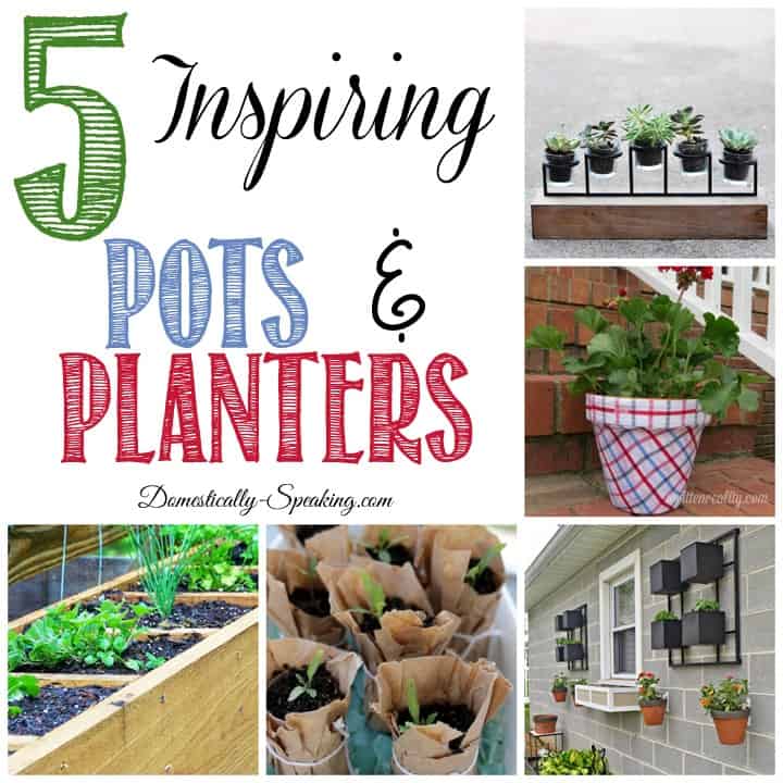 5 Inspiring Pots and Planters