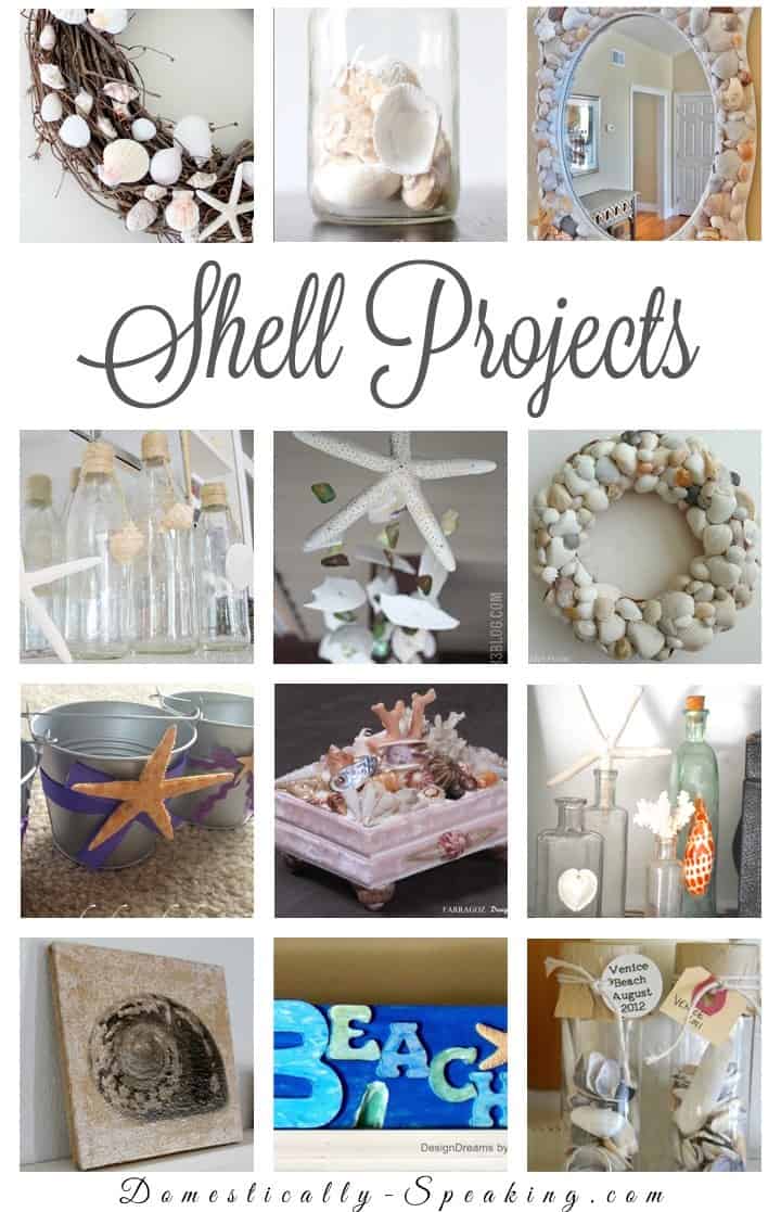 DIY Seashell Projects