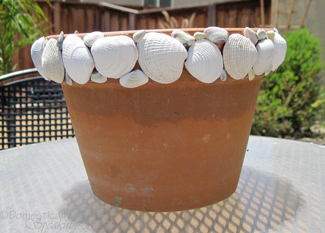 3rd Countdown to Summer ~ Shell Pots