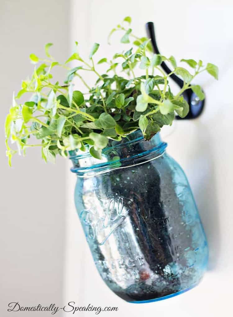 DIY Hanging Herbs in a gorgeous Vintage Blue Mason Jars