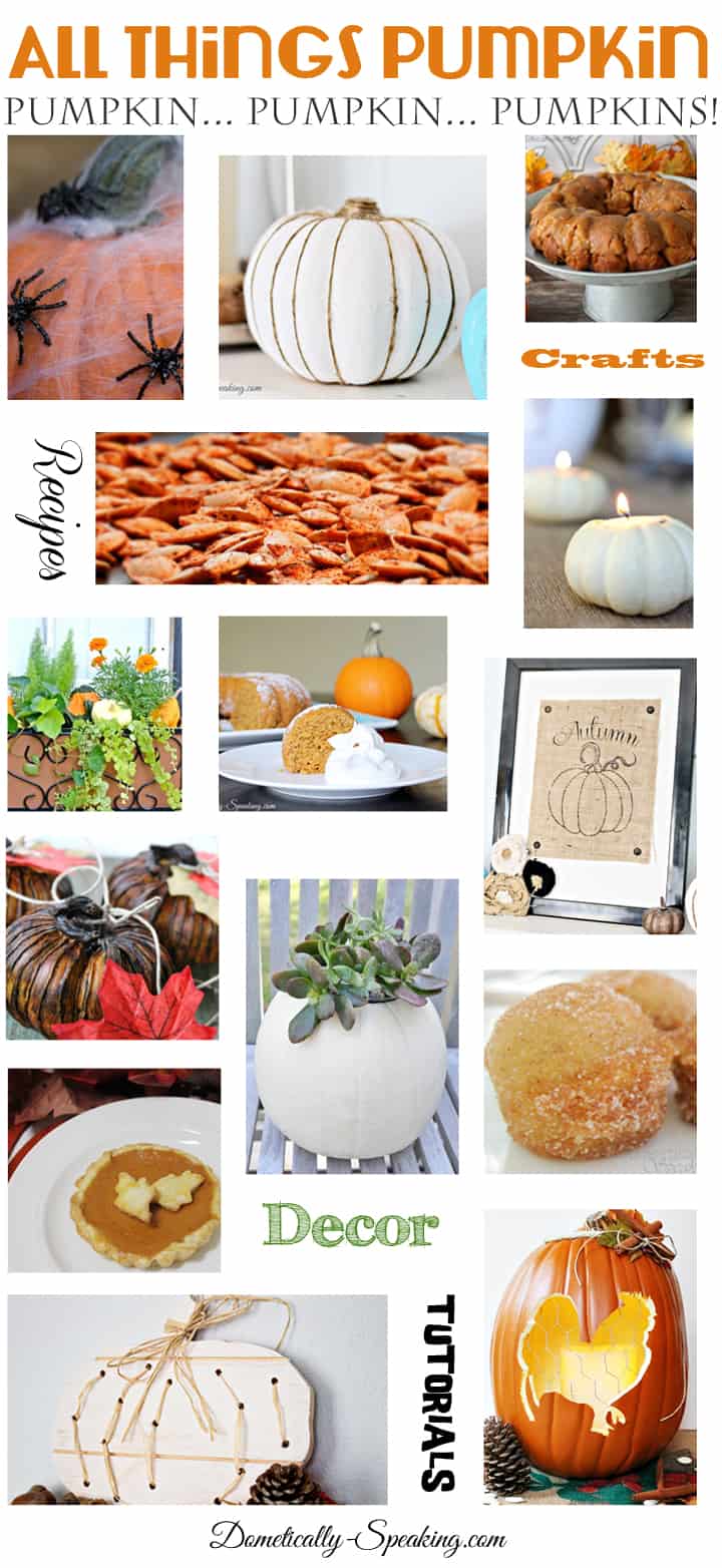 All Things Pumpkins and Gourds