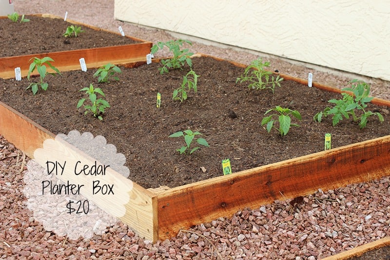 DIY Cedar Planter Box for $20