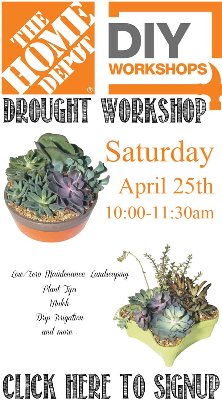 Drought DIY Workshop