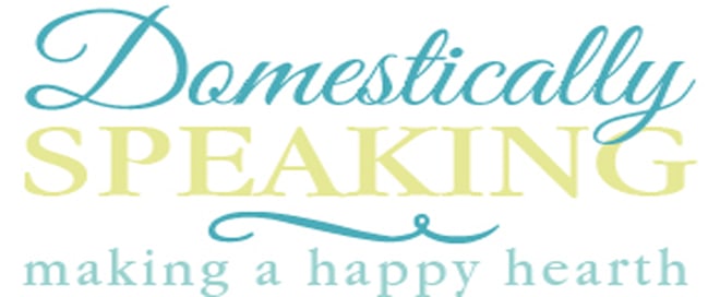 Domestically Speaking logo