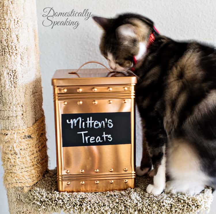 Pet Food Storage Bin | Thrift Store Copper Tin