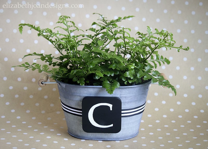 Monogram Chalkboard Planter