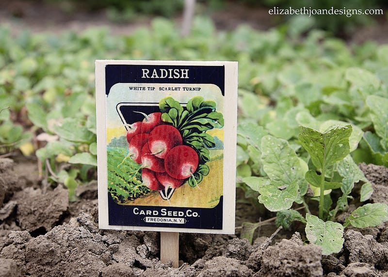 Vintage Seed Packet Plant Markers