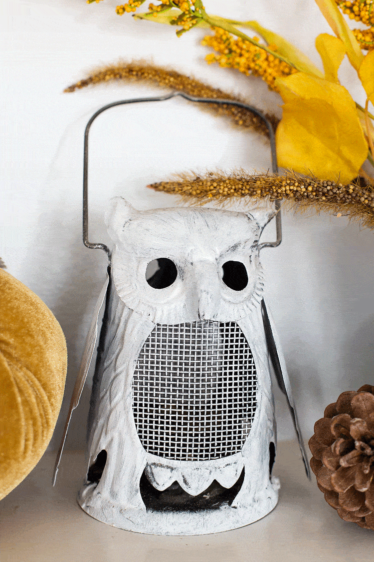 DIY Painted Owl