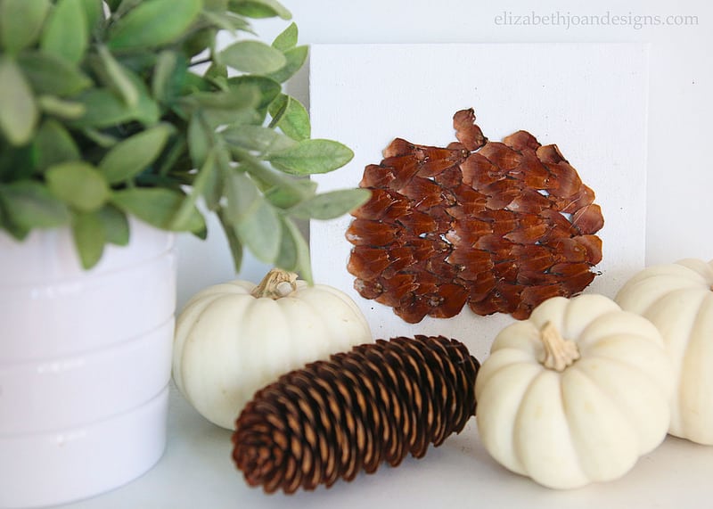 Pinecone Scale Pumpkins