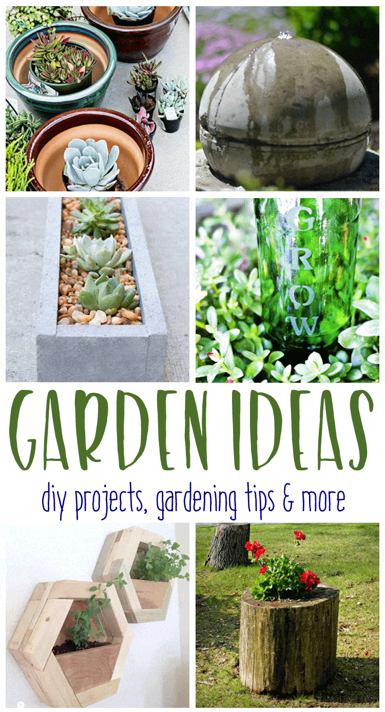 Garden Ideas That Will Get You Excited