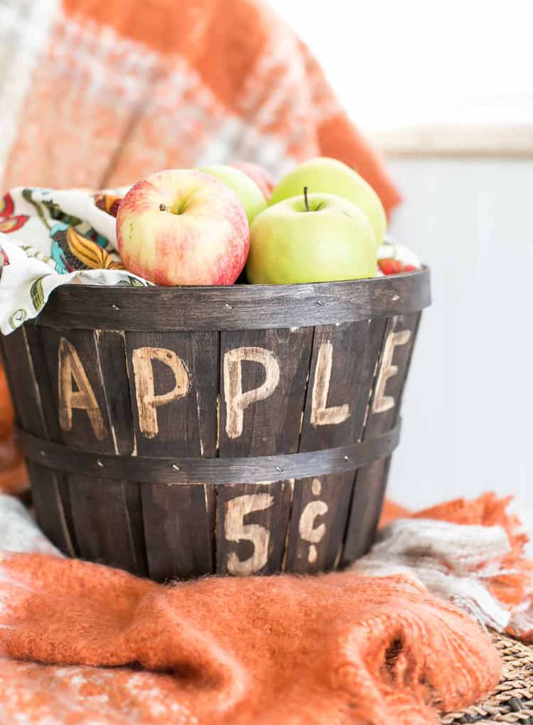 Thrift Store Stained Apple Bucket