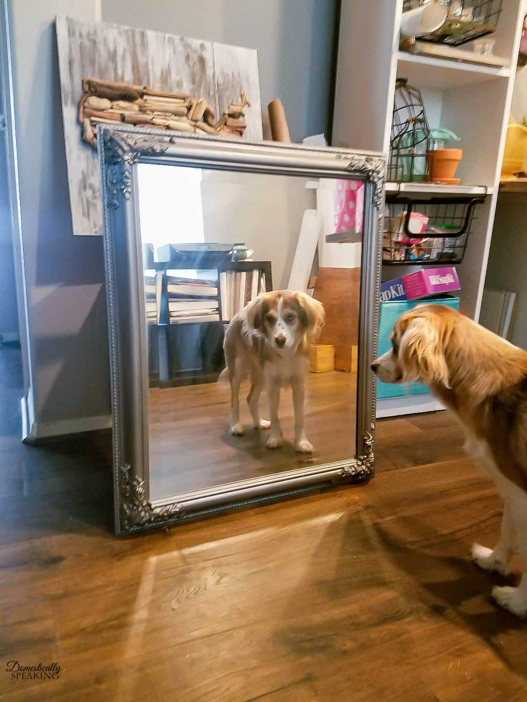 DIY Rustic Bathroom Mirror - Domestically Designed