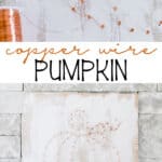 Copper Wire Pumpkin Art - so cute for neutral fall decor