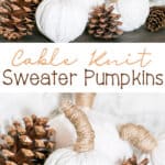 Thrift Store Cable Knit Sweater Pumpkins