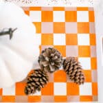 Closeup of white, orange and gray buffalo check tray.