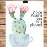 Bloom Where You Are Planted free printable for Spring