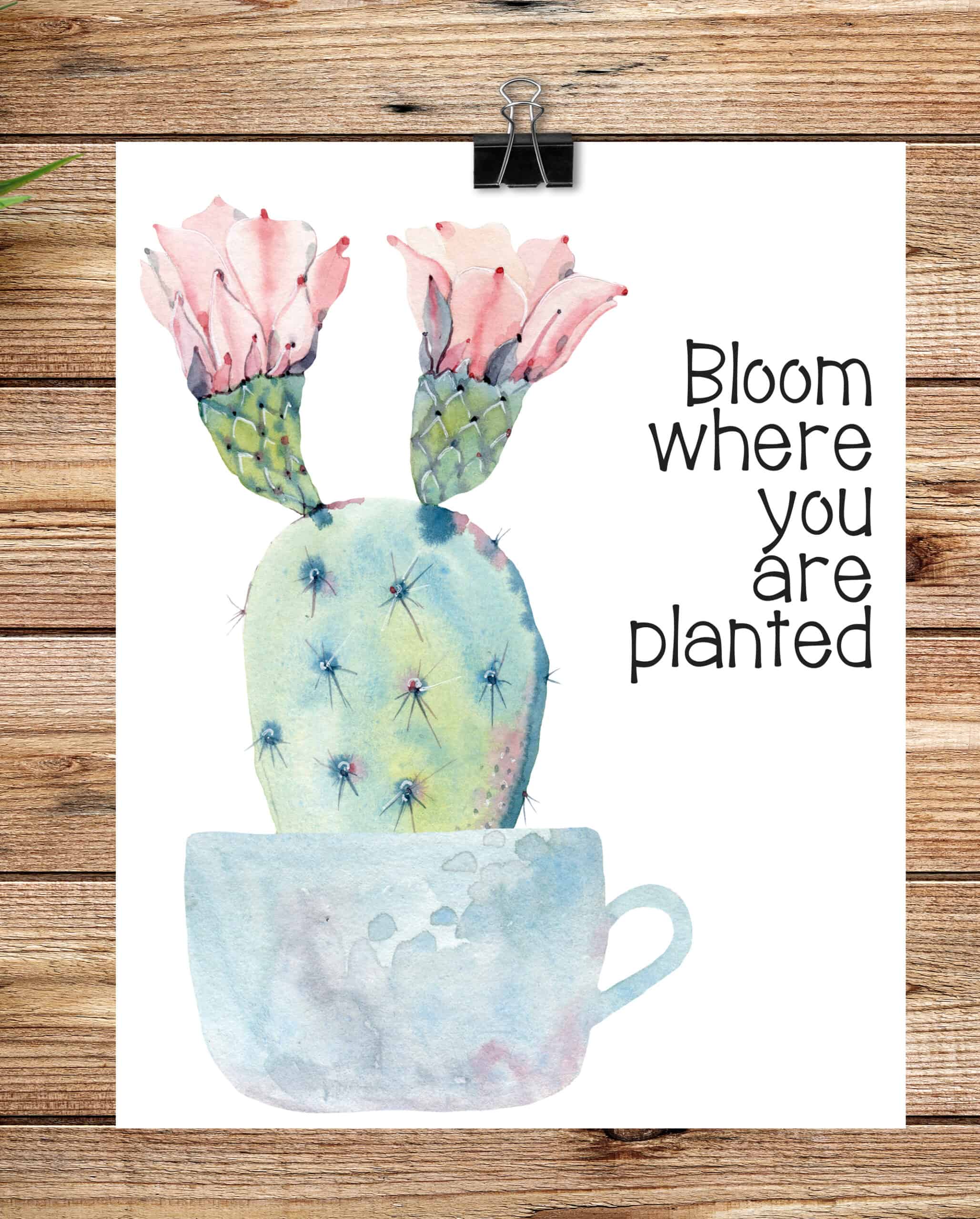 Bloom Where You Are Planted free printable for Spring