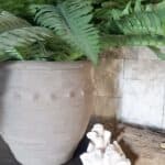 DIY Cement Pot