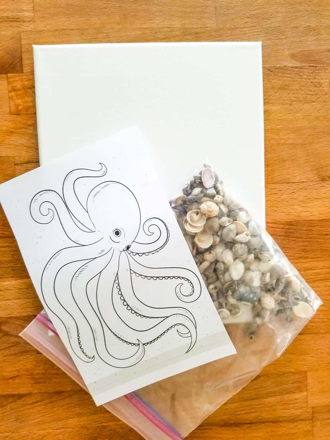 DIY Octopus Shell Art - Domestically Designed