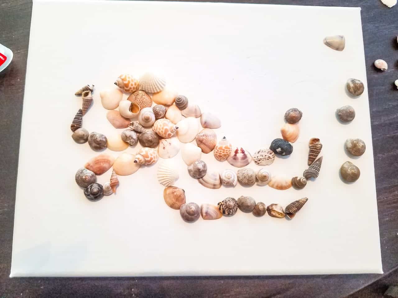 Gluing shells onto canvas.