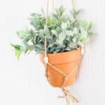 DIY Macrame Plant Hanger
